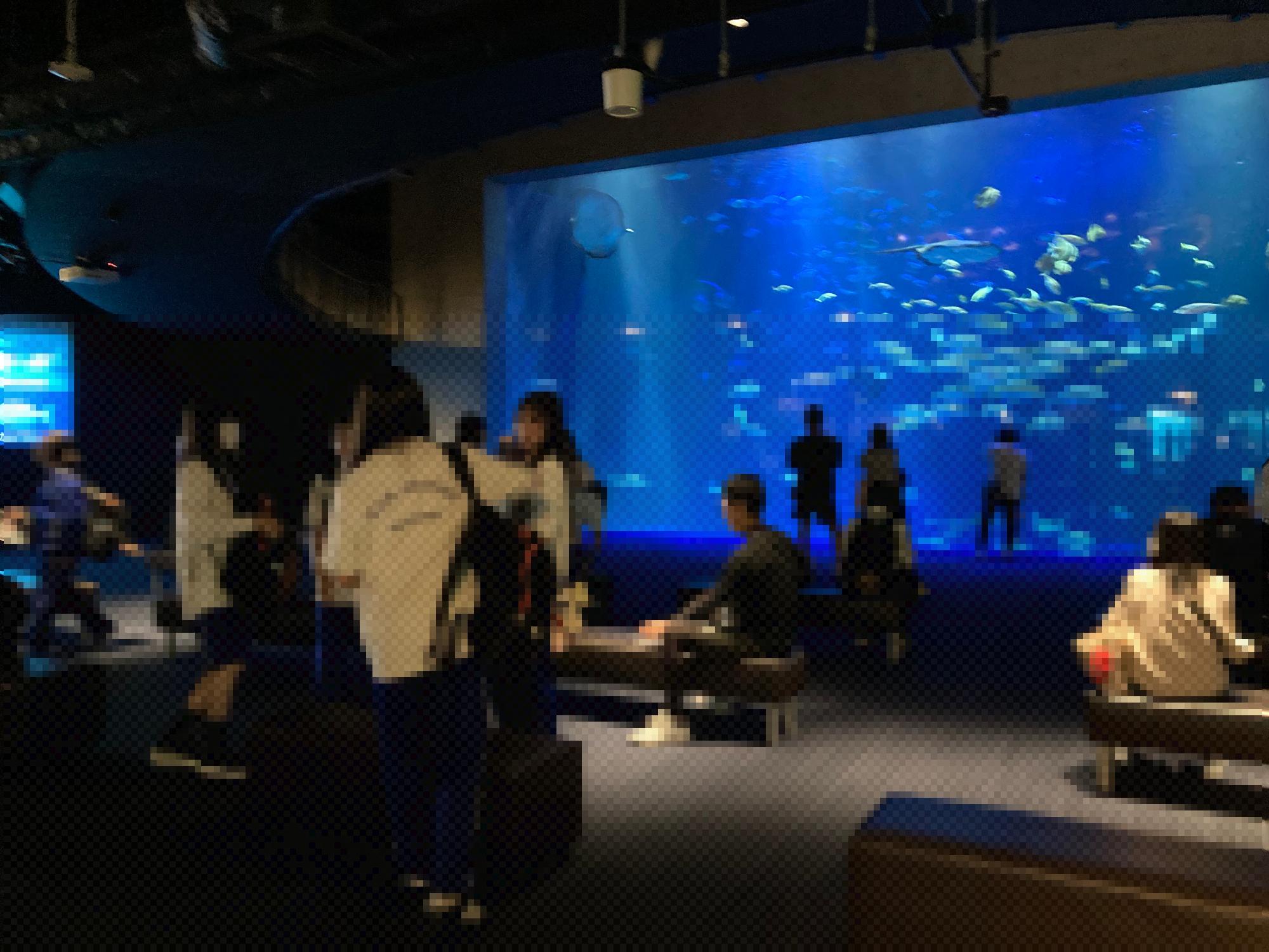 教室の様子