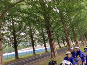 大きな木が並んでいる道路の側に、ヘルメットをかぶり自転車に乗った生徒のみなさんが集まっている様子を写した写真