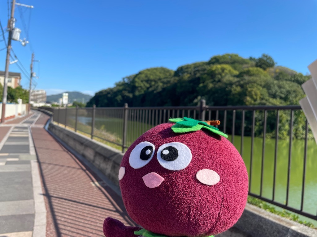 竹内街道(白鳥1)