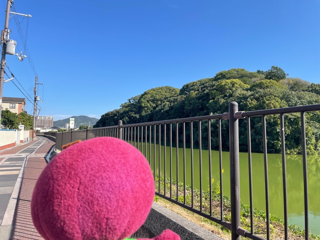 竹内街道(白鳥2)