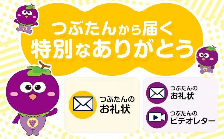 特別な返礼品