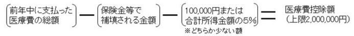 医療費控除額計算の図式
