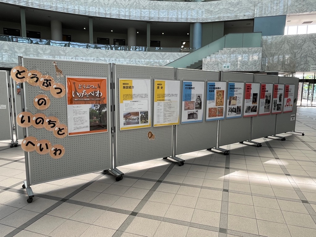 特別平和展2