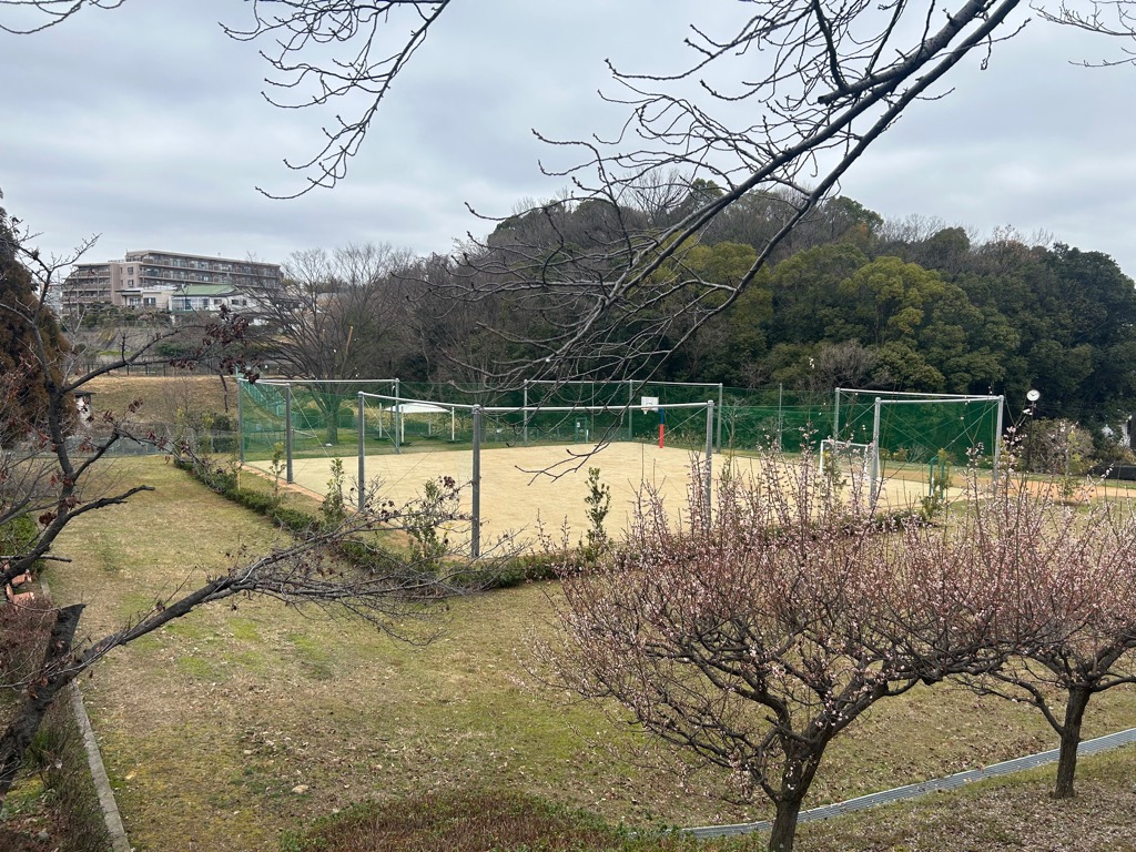 ボールパーク全体(上から)