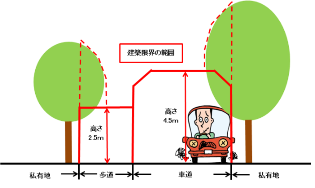 剪定の範囲