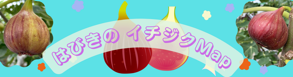 イチジクMap