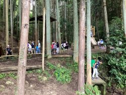多くの背の高い樹木が生えている場所で、辺りを見学する様子の子どもたちや、集まって話をしている様子の子どもたちの写真