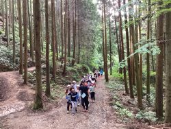 両側にたくさんの樹木が生えている山道を、周りを見まわしながら歩いている様子の子どもたちの写真