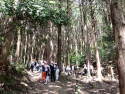 木漏れ日が入る山道を子どもたちが歩いている写真