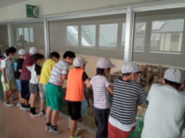 3年社会見学 窓から見学しているようす