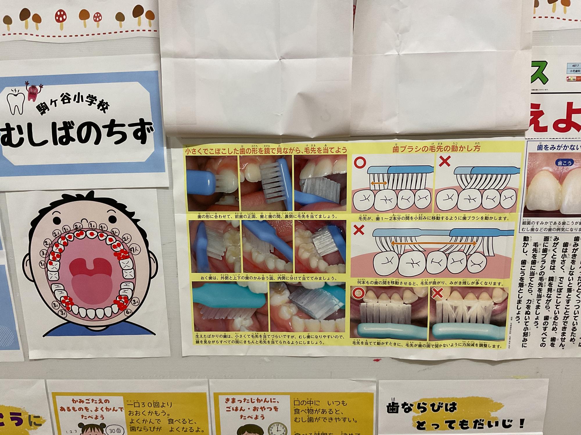 11月保健食育掲示4