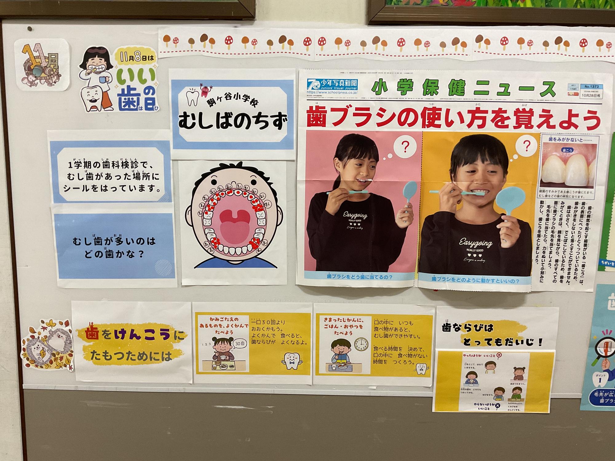 11月保健食育掲示