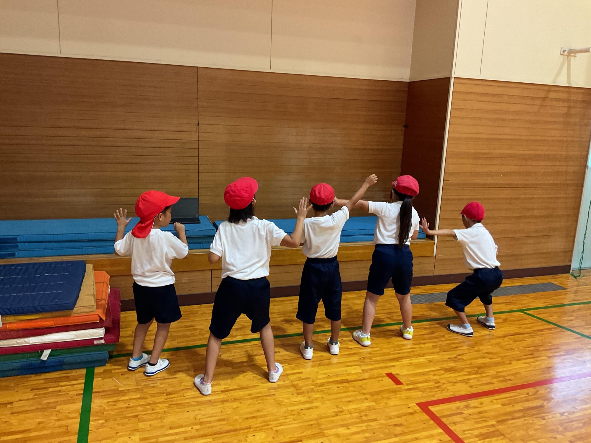 teidance2