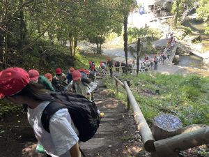 山の上に登る階段が続いており、列をなして登ってくる子ども達の様子を山の上から写した写真