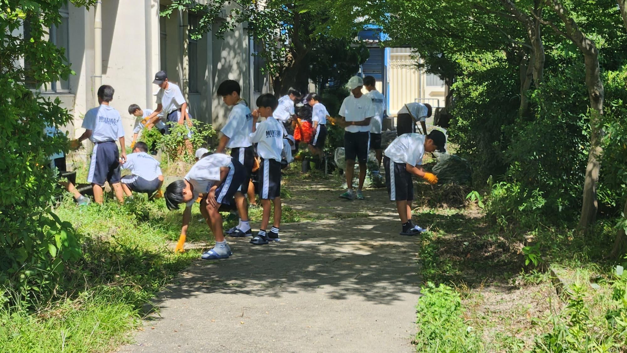 体操着姿で両手に軍手をはめた男子生徒たちが校舎裏の除草作業を行っている様子の写真
