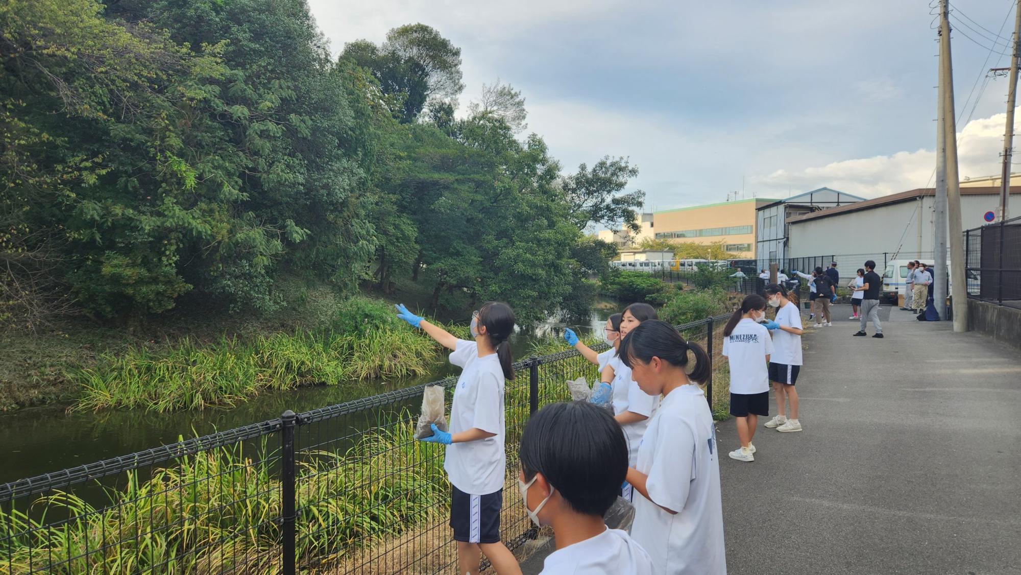 水色の手袋をつけたSDGs委員会のメンバーがお濠にエコキューブを投入している様子の写真