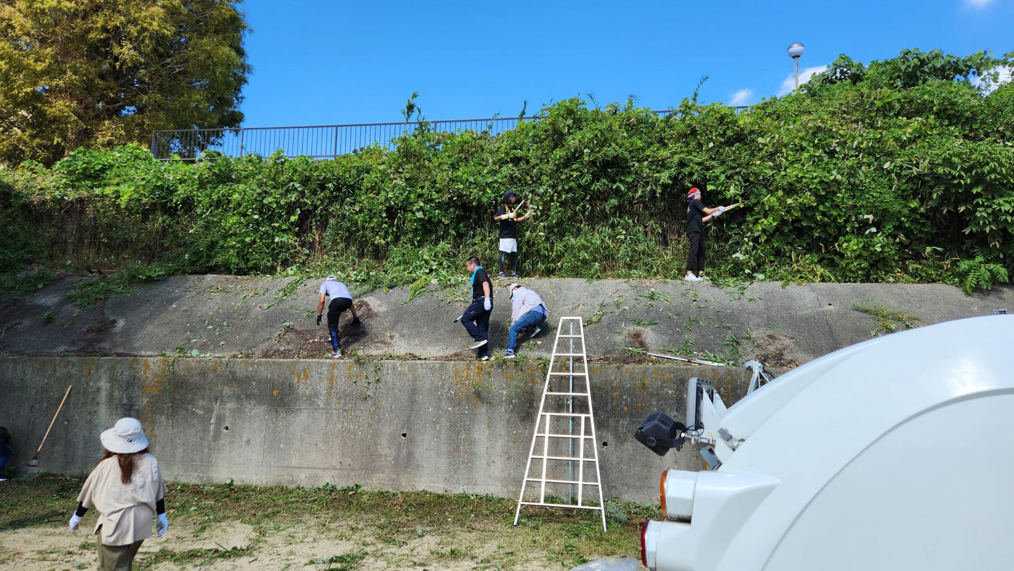 中学校の敷地内の高い位置に梯子をかけて上がり、伸びた雑草を刈ったり掃除を行っているサポート隊の方々の写真