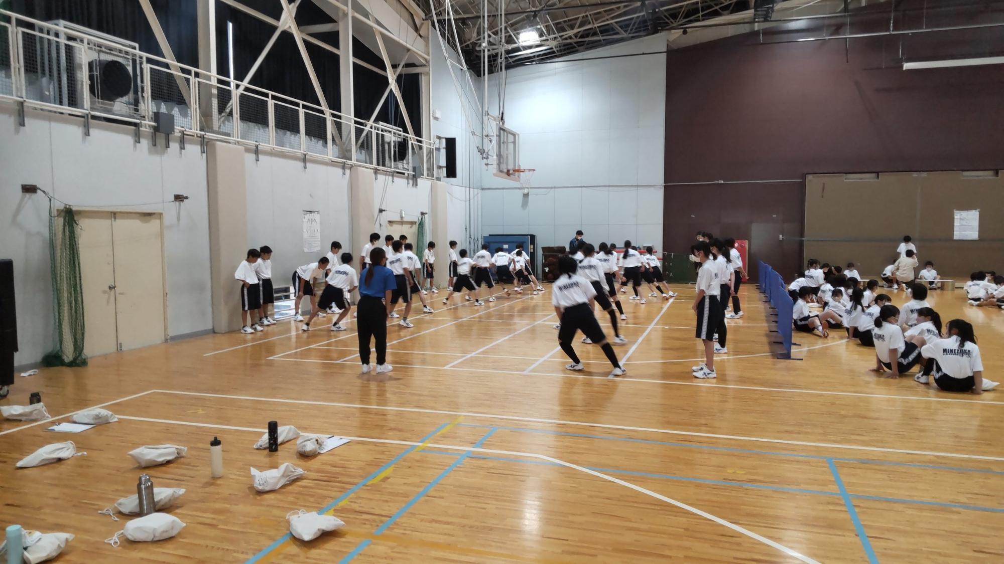 体育館の壁側で左に男子生徒、右に女子生徒が縦一列に並び反復横跳びのスポーツテスト行っている様子の写真