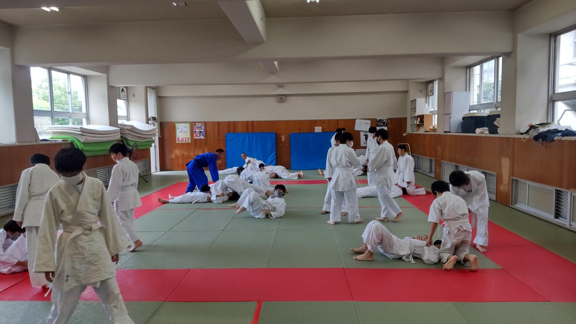 柔道場内で青色の胴衣を着用した男性教師の指導のもと、胴衣を着用した男子生徒たちが2人一組になり寝技の授業を受けている様子の写真