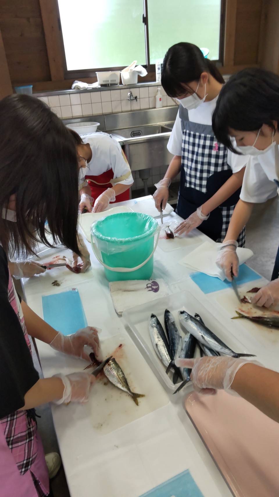 4名の女子生徒が自分たちで釣った魚を教わりながらさばいている様子の写真