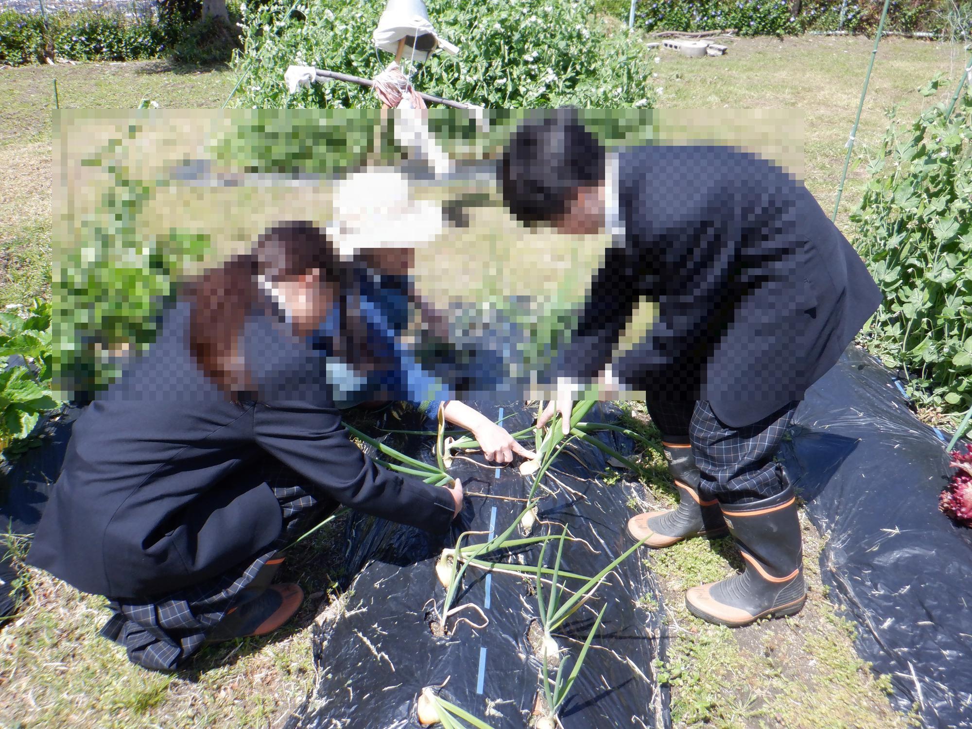 教室の様子