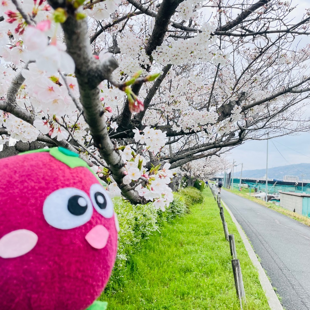 魅力発見石川