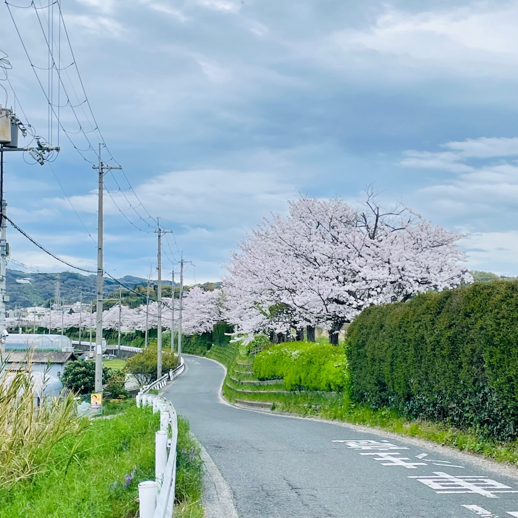 魅力発見石川