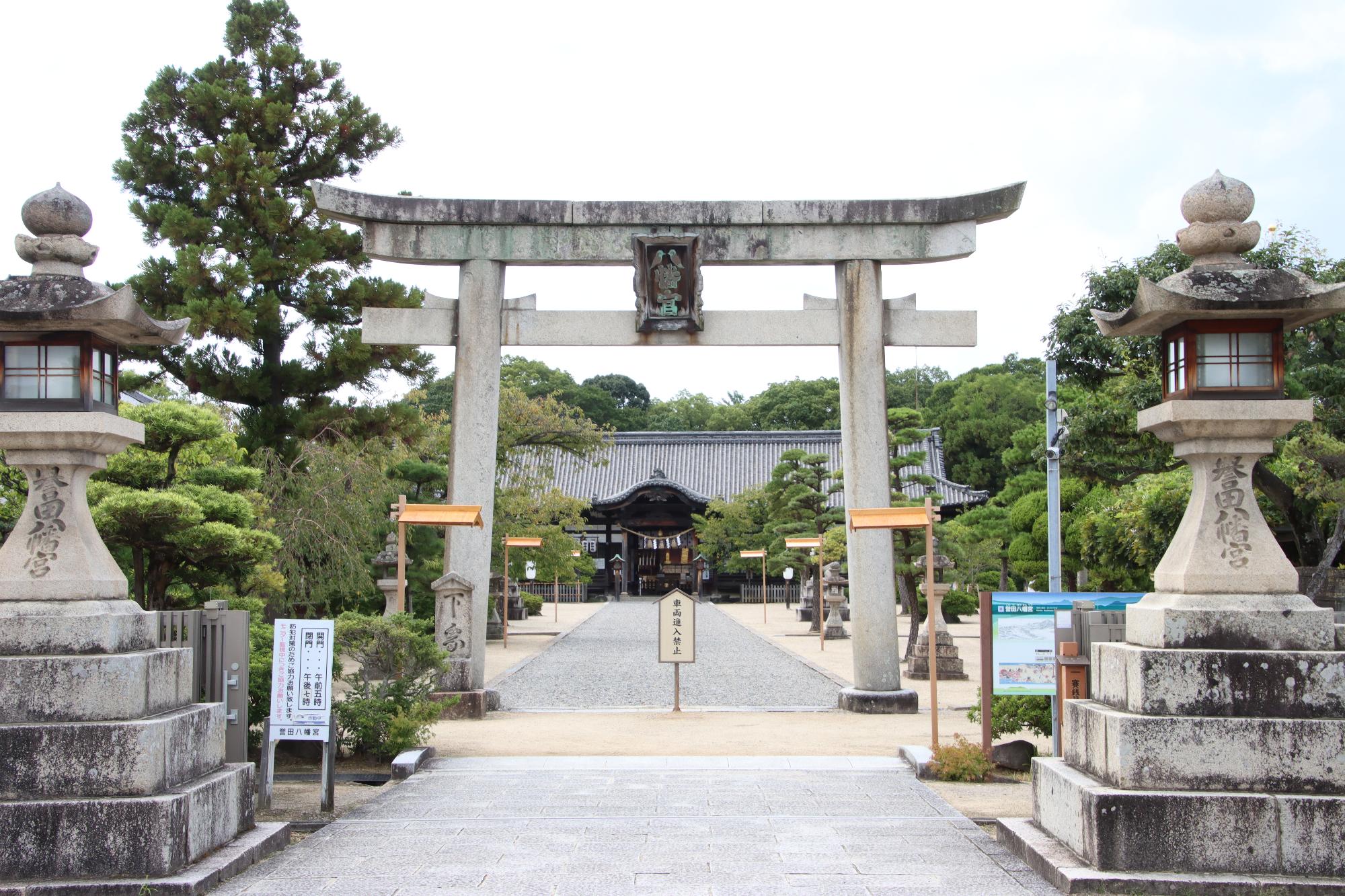 誉田八幡宮（社殿）