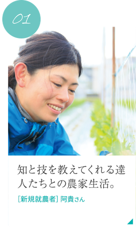 新規就農者 阿貴さん