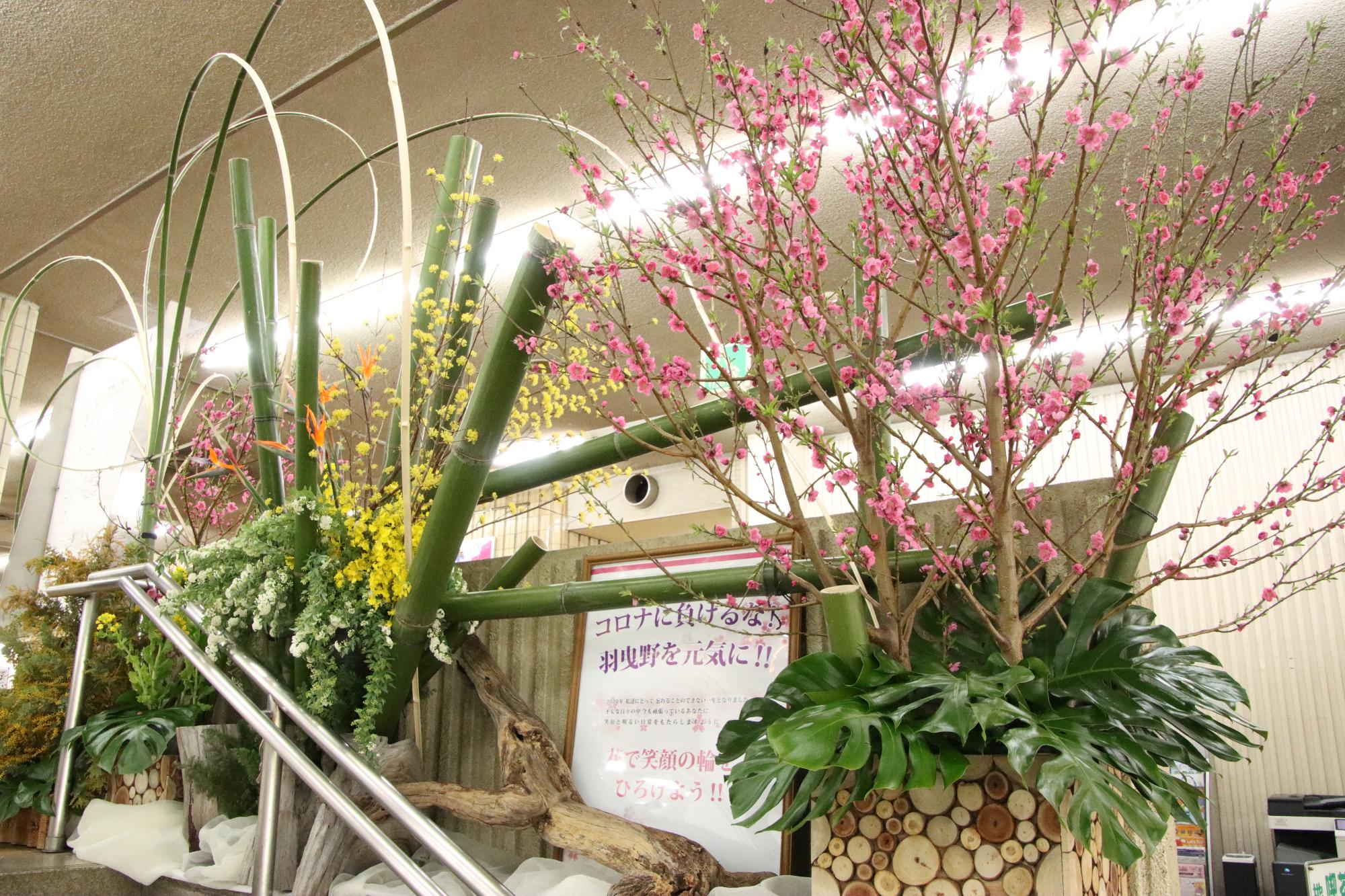 3月に寄贈されたお花