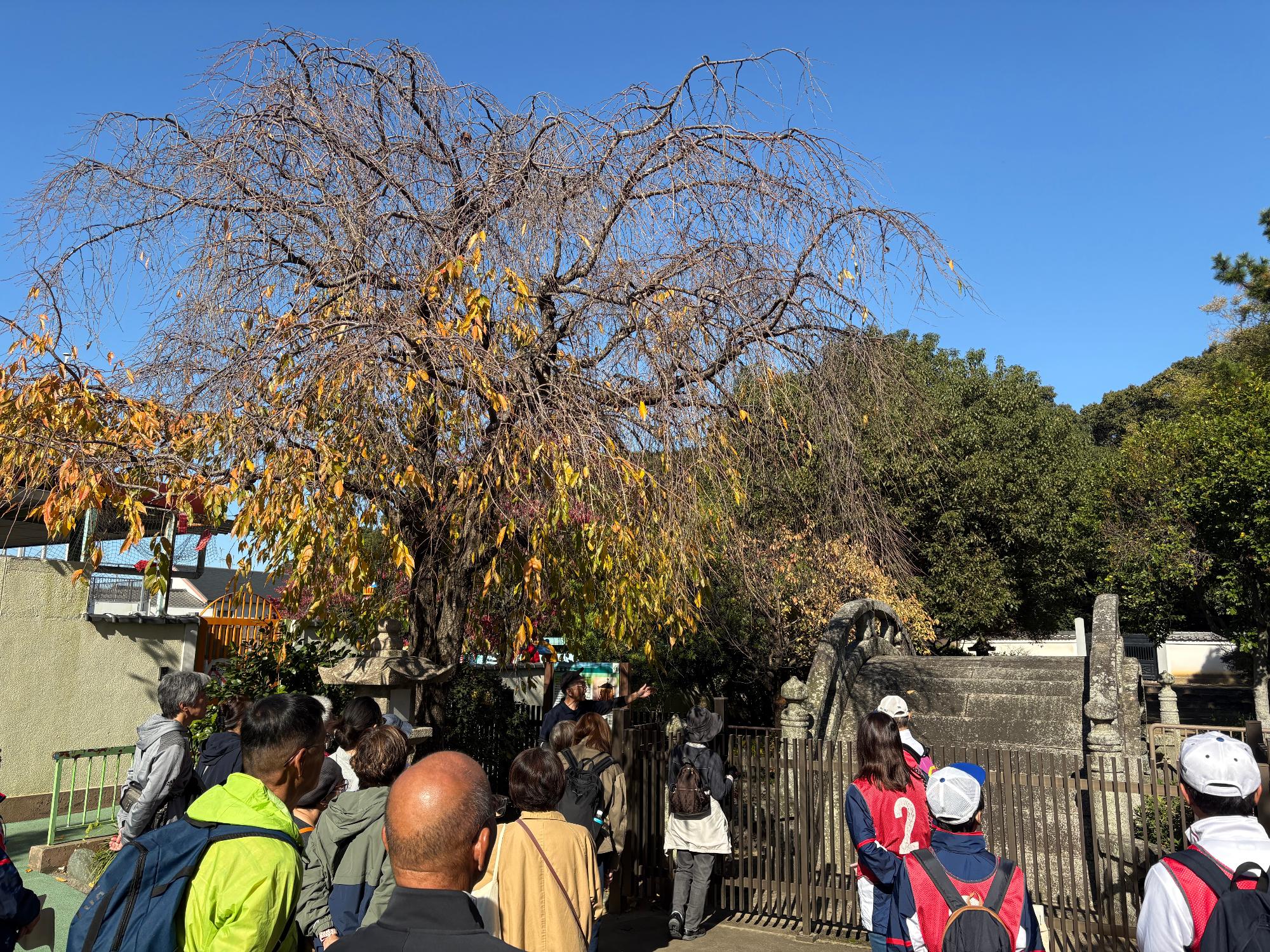 応神天皇陵拝所