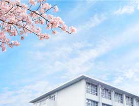 小・中学校