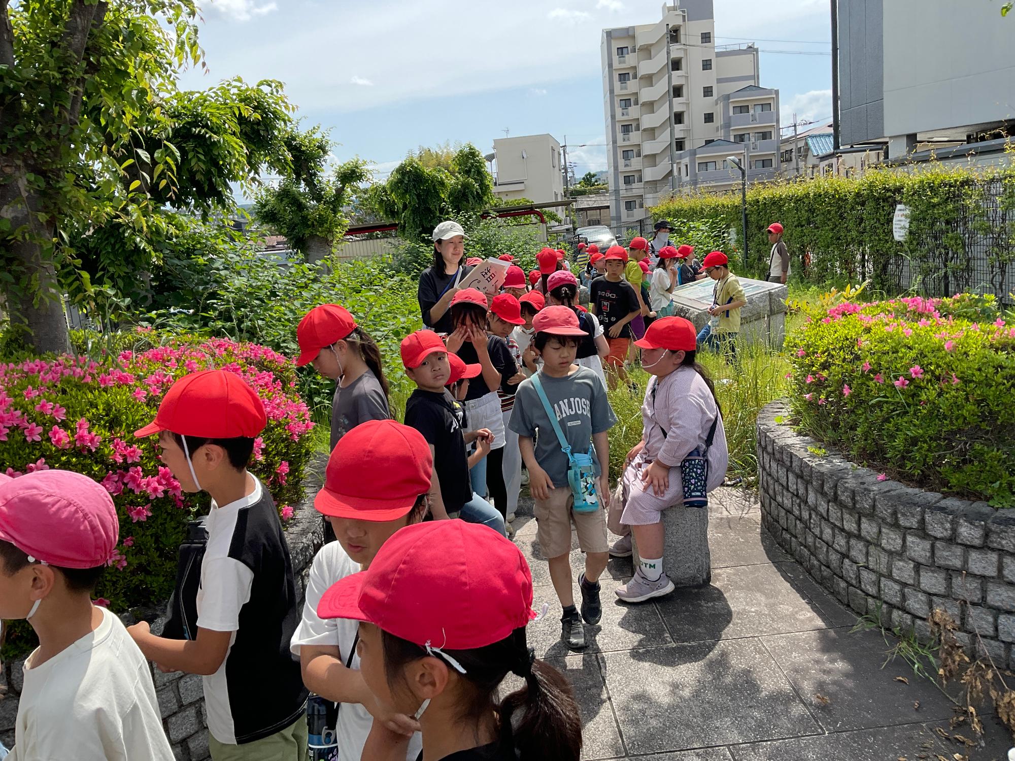 校区探検