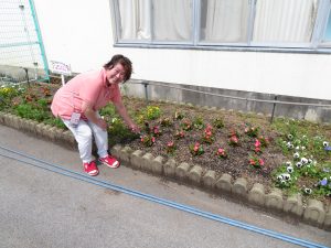 花壇にピンク色のベコニアの花が綺麗に植えられ、関係者の女性がベコニアを指さし笑顔で写っている写真