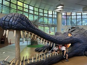 巨大なワニの模型が展示されており、鋭い歯が生えた口の中に子どもたちが入って遊んでいる様子の写真