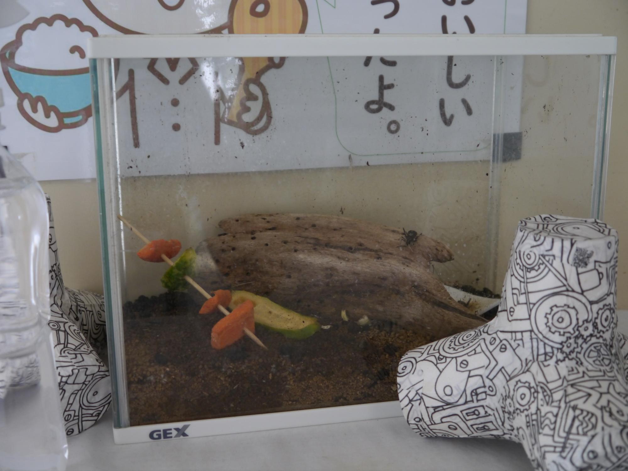 すずむし