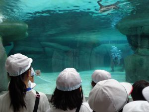 水槽の中が見える大きな窓の周りに子どもたちが集まり、水の中にいる動物を見ている様子を後方から写した写真
