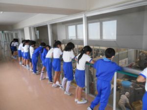 かまぼこ工場の見学スペースで、子どもたちは横一列に並び、大きな窓から作業スペースが見渡せる場所で見学をしている様子の写真