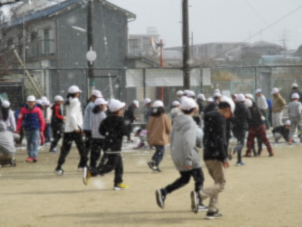 250204_めずらしい雪
