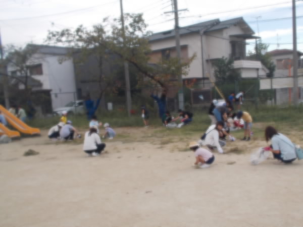 250927_草引きのようす1