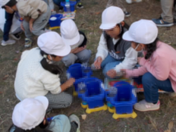 251209_チューリップ