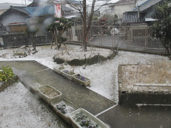 250204_雪化粧の東下足付近