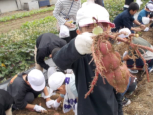 251022_いもほり3