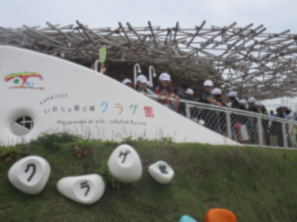 250624_2年クラゲ館