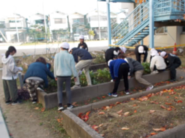 栽培委員会