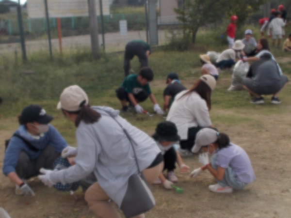 250927_草引きのようす3