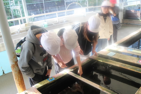 251107_鳥羽水族館1