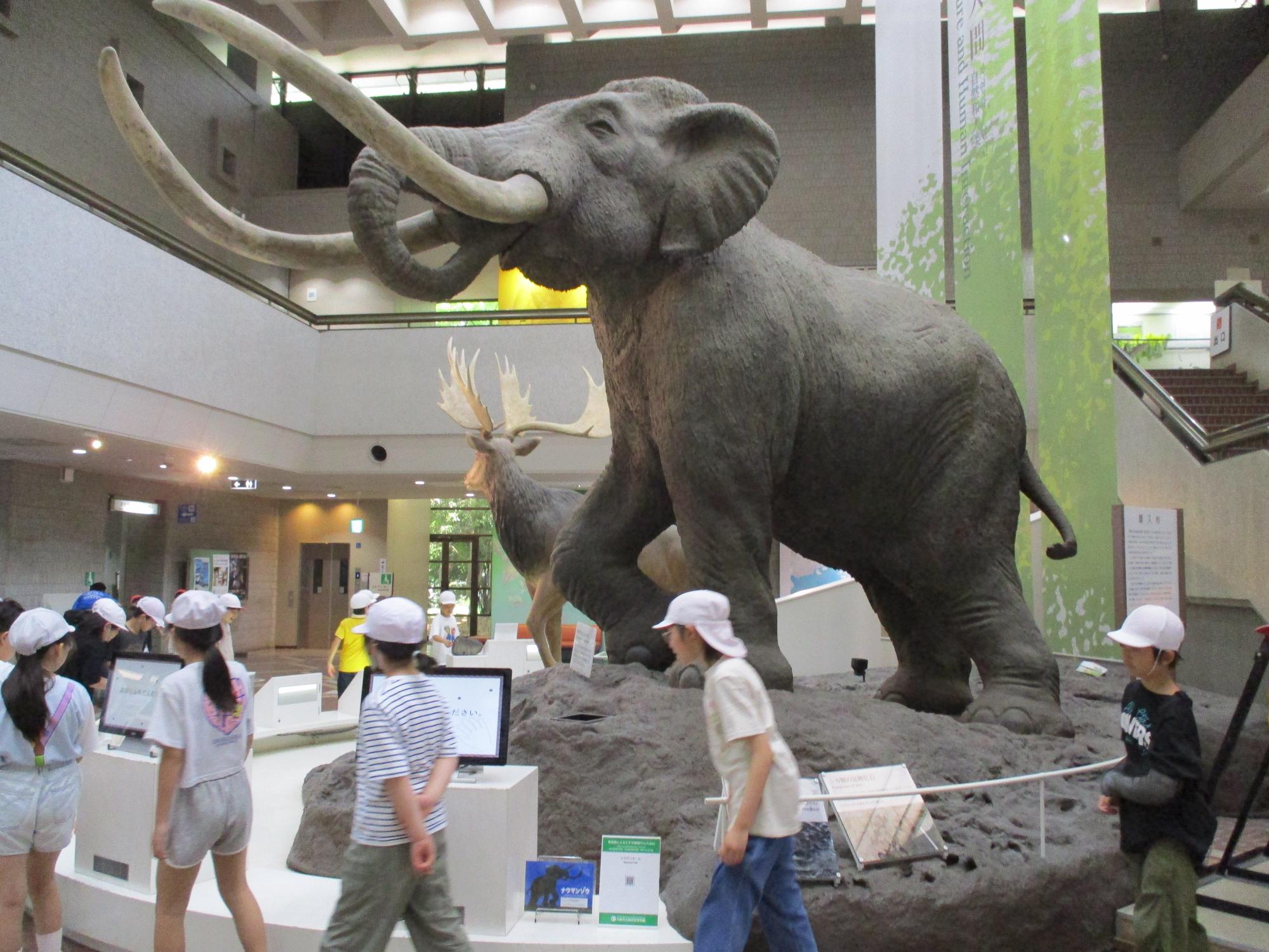 マンモスの模型