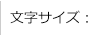 文字サイズ