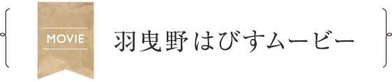 羽曳野はびすムービー